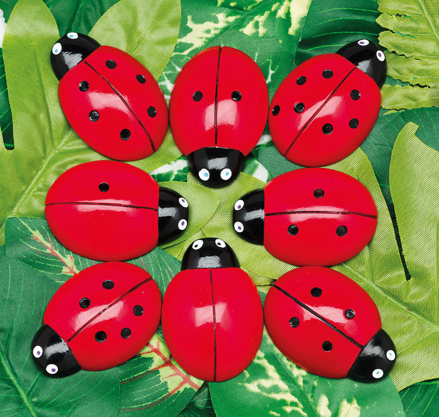 Ladybug Counting Stones