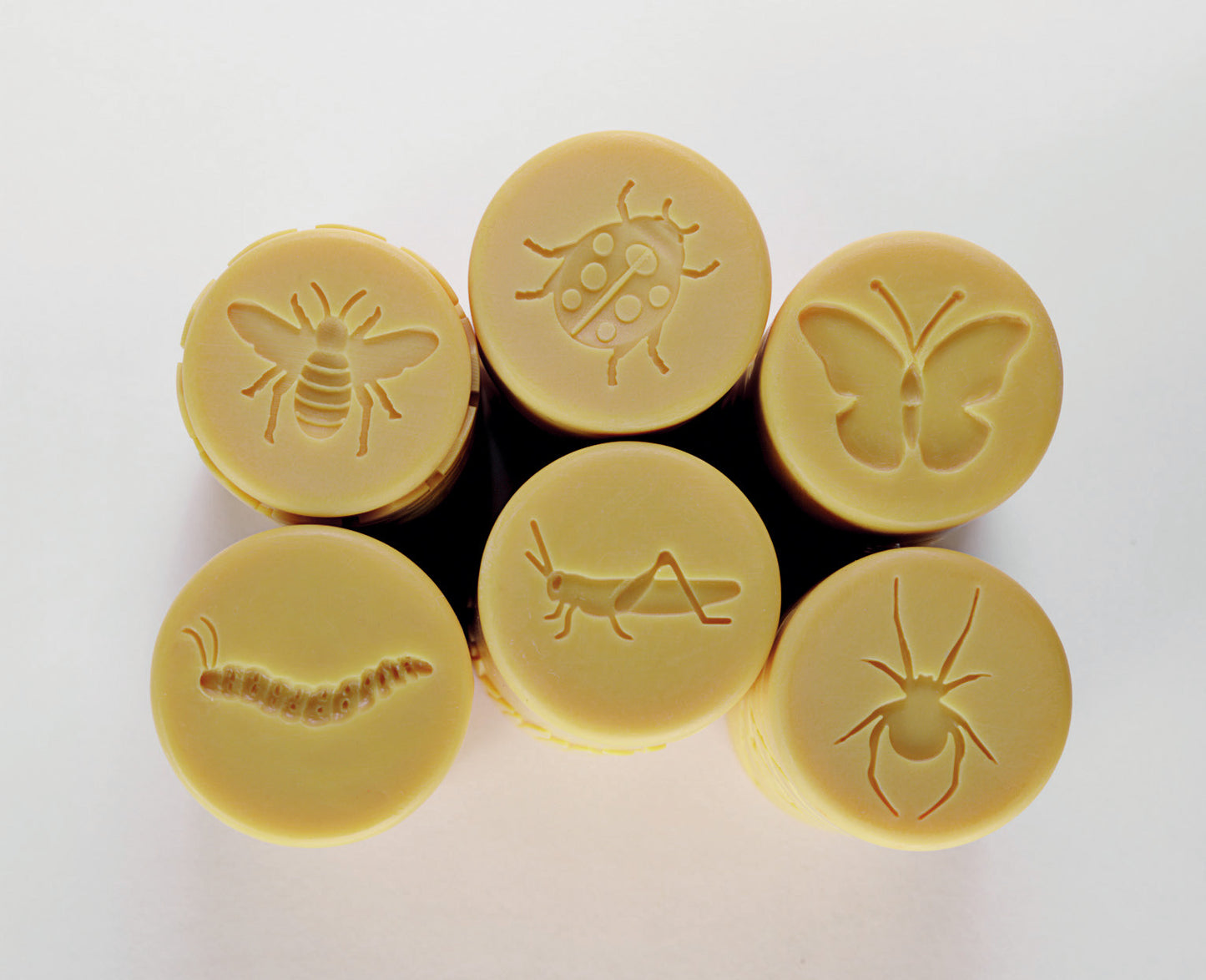 Let’s Roll – Garden Bugs