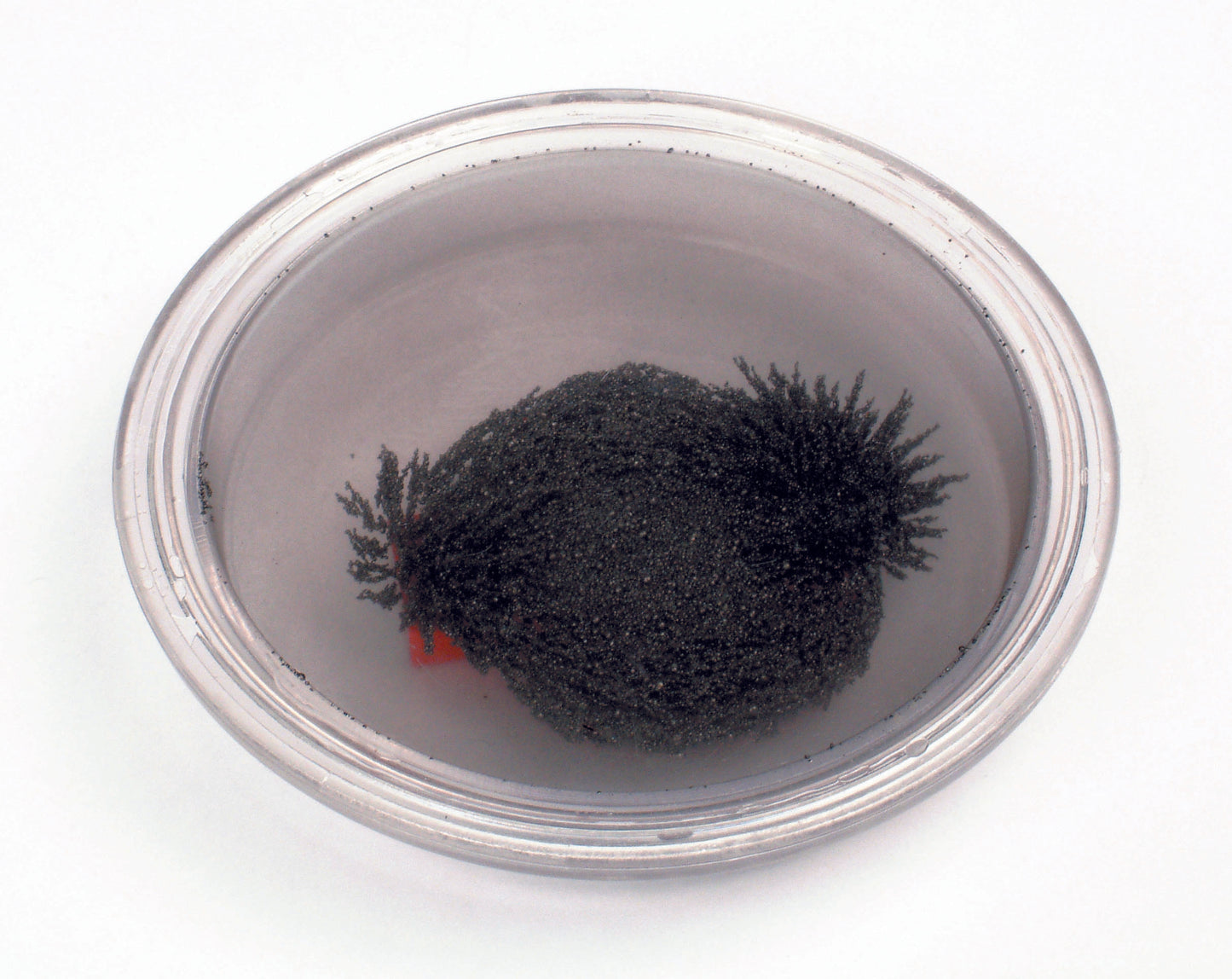 Round Iron Filings Bubble