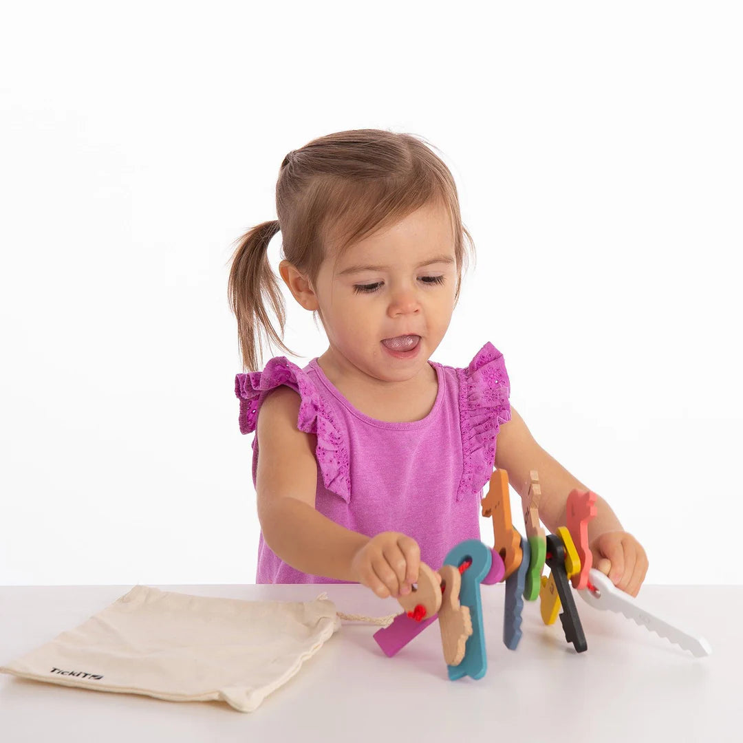 Rainbow Wooden Counting Keys