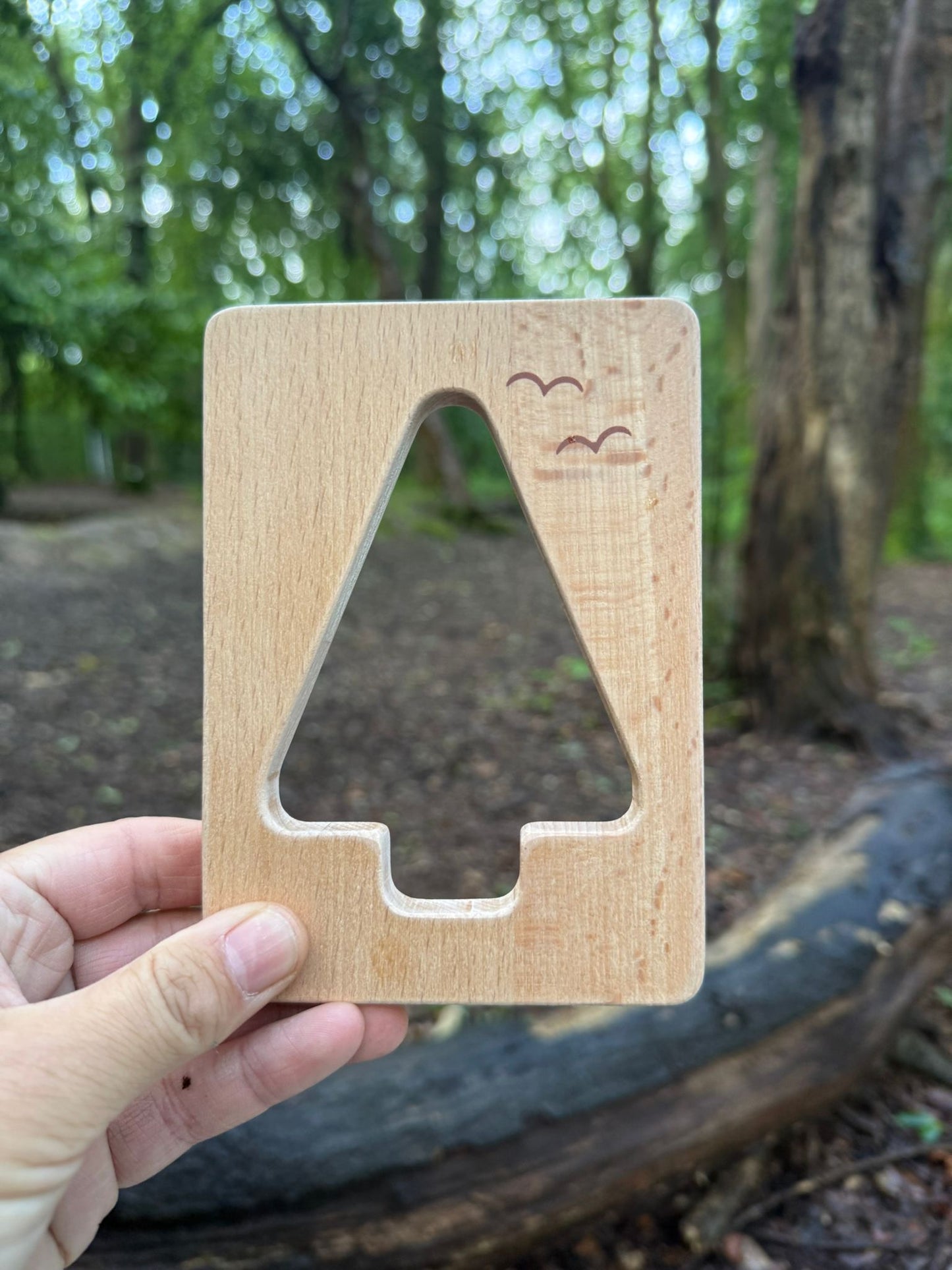 Little Looking Shapes (3 options)