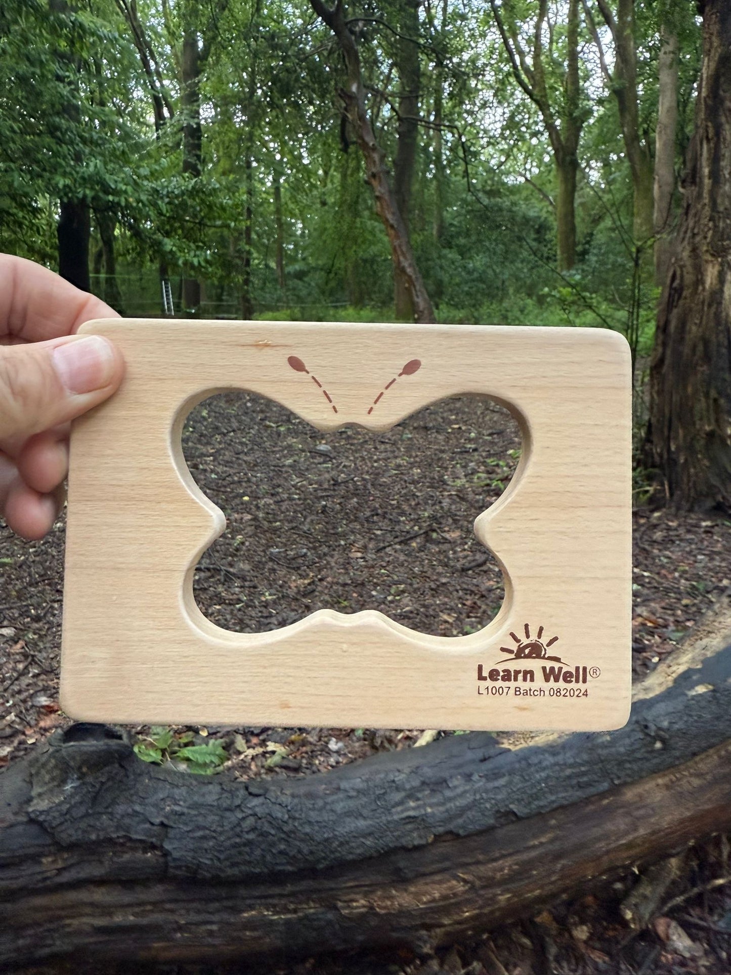 Little Looking Shapes (3 options)