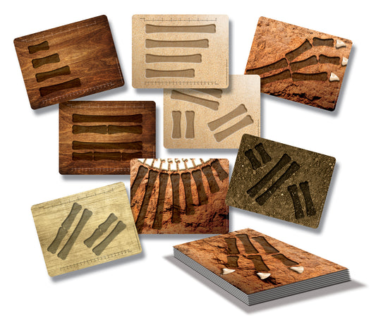 Dinosaur Bones Match and Measure Activity Cards