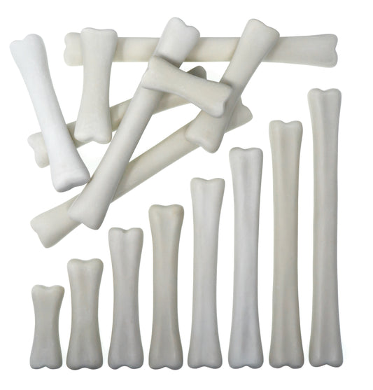 Dinosaur Bones Match and Measure Pack