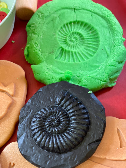 Let’s Investigate – Fossils