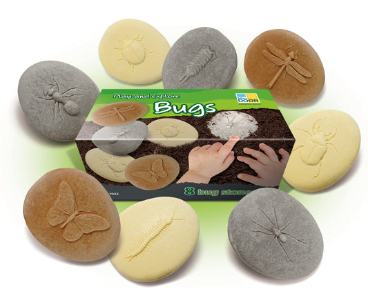 Let’s Investigate – Bugs