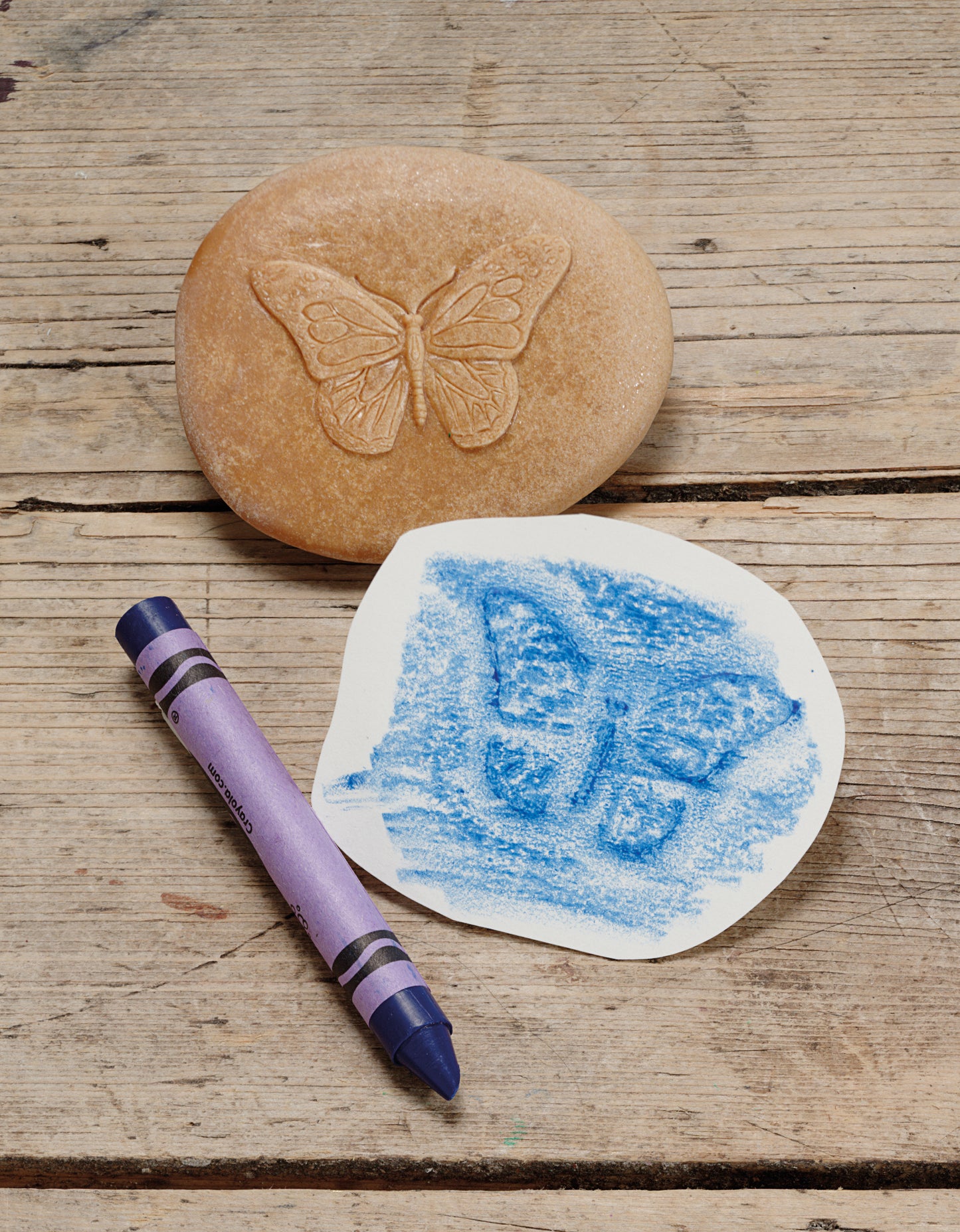 Let’s Investigate – Bugs