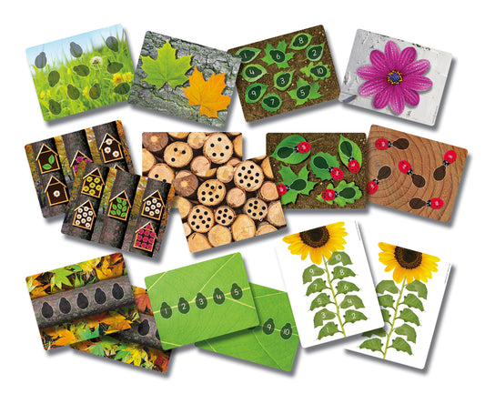 Ladybug Counting Pack