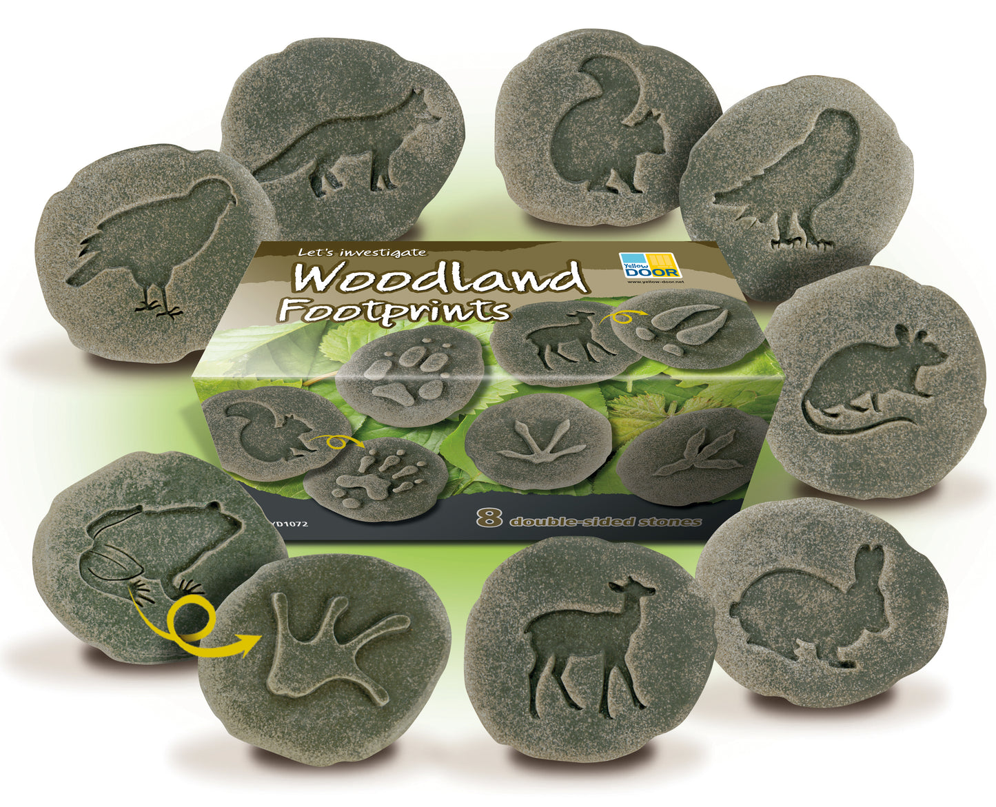 Let’s Investigate – Woodland Footprints