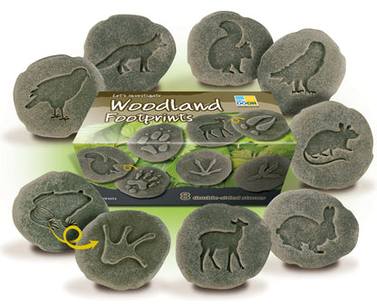 Let’s Investigate – Woodland Footprints
