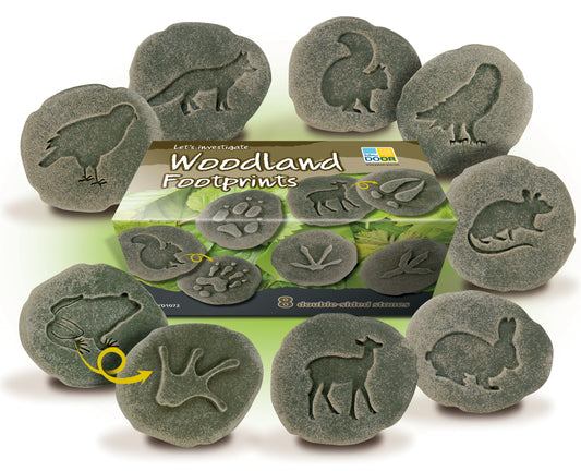 Let’s Investigate – Woodland Footprints