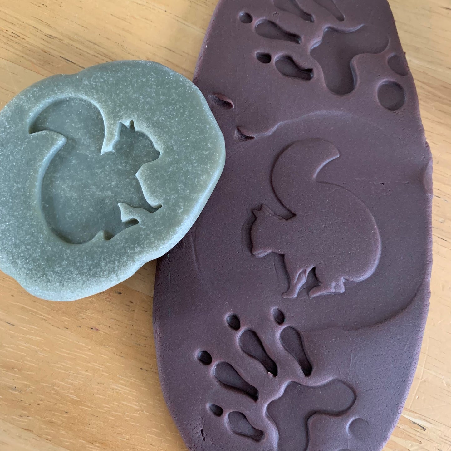 Let’s Investigate – Woodland Footprints