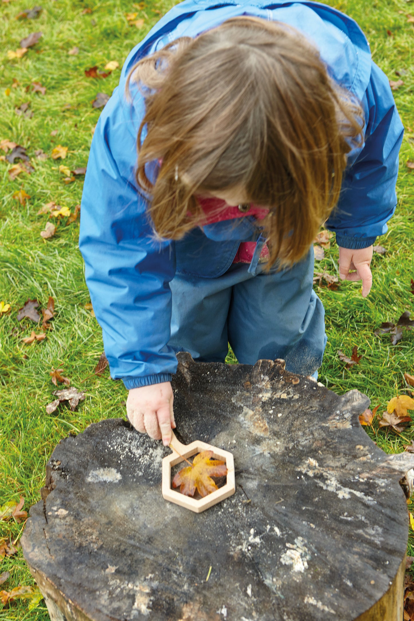 Natural Shape Viewers
