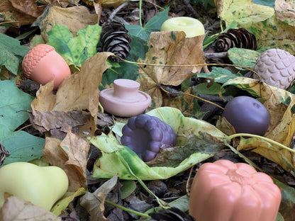 Feast of Nature – Sensory Play Set