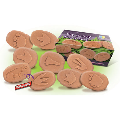 Let’s Investigate – Dinosaur Footprints