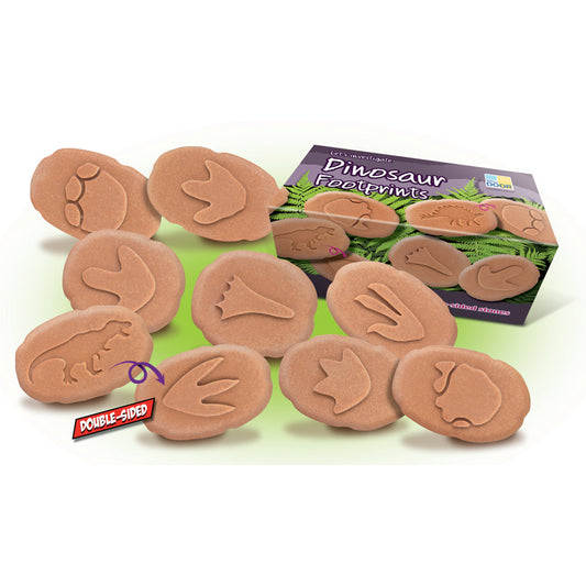 Let’s Investigate – Dinosaur Footprints