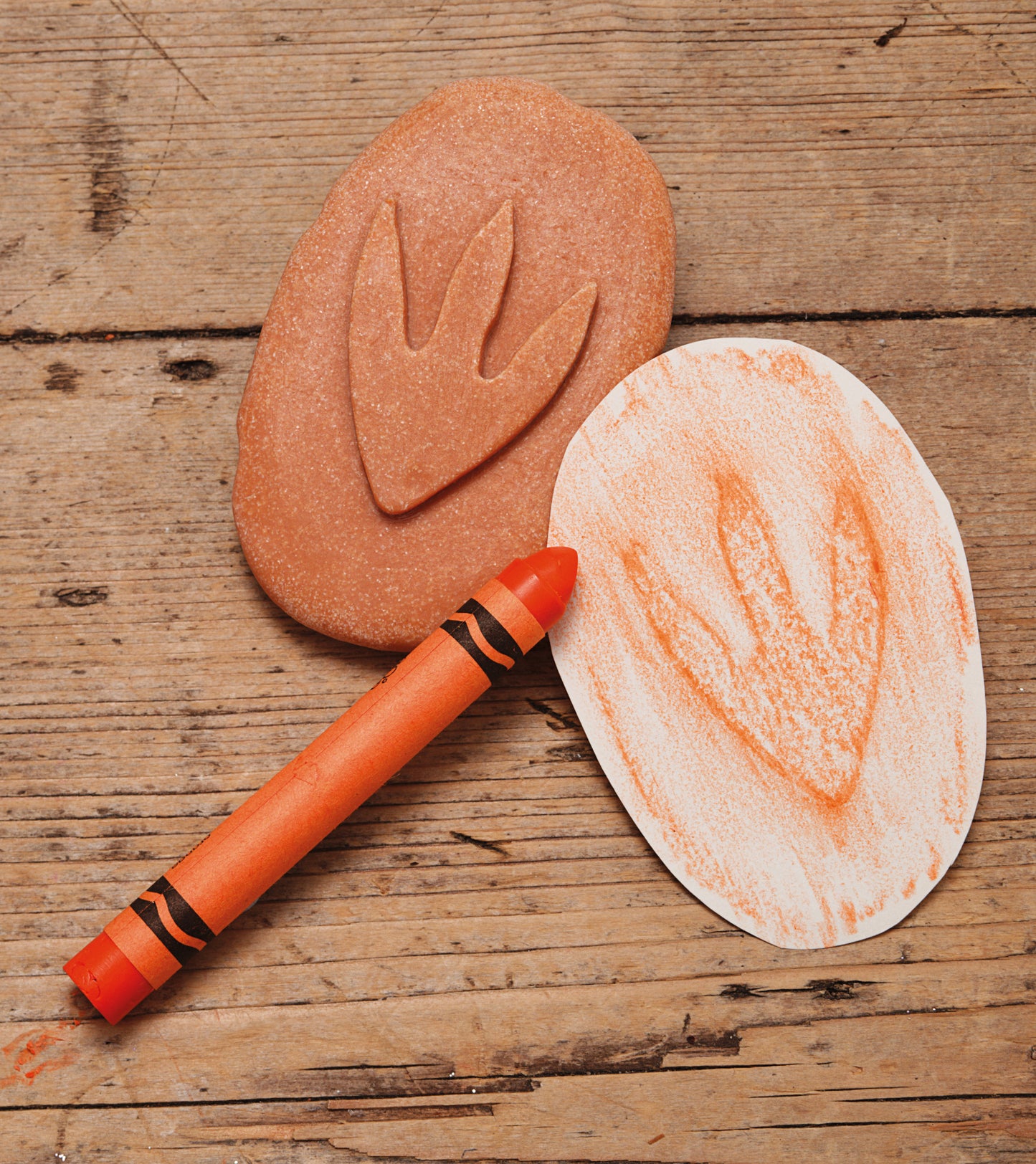 Let’s Investigate – Dinosaur Footprints