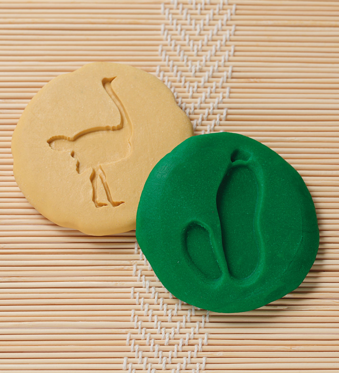 Let’s Investigate – Safari Footprints