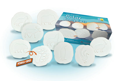 Let’s Investigate – Polar Footprints