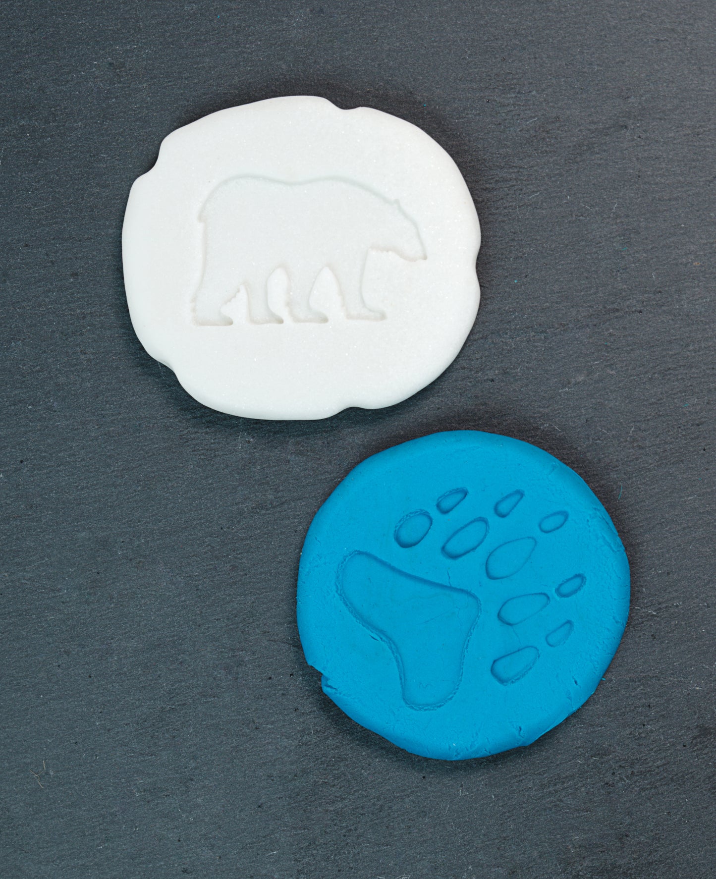 Let’s Investigate – Polar Footprints