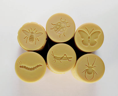 Let’s Roll – Garden Bugs