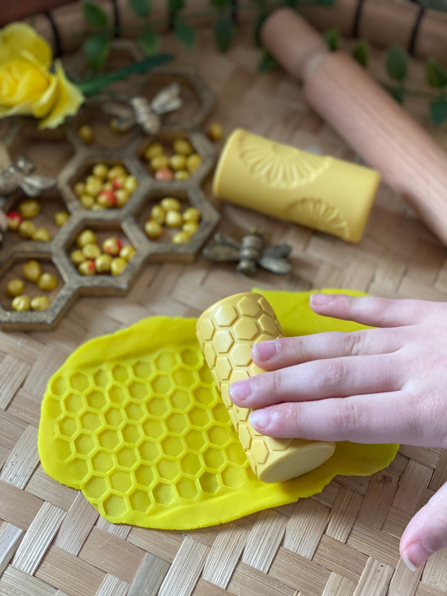 Let’s Roll – Garden Bugs