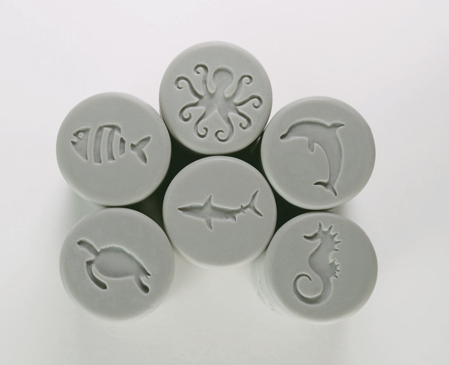 Let’s Roll – Ocean Life