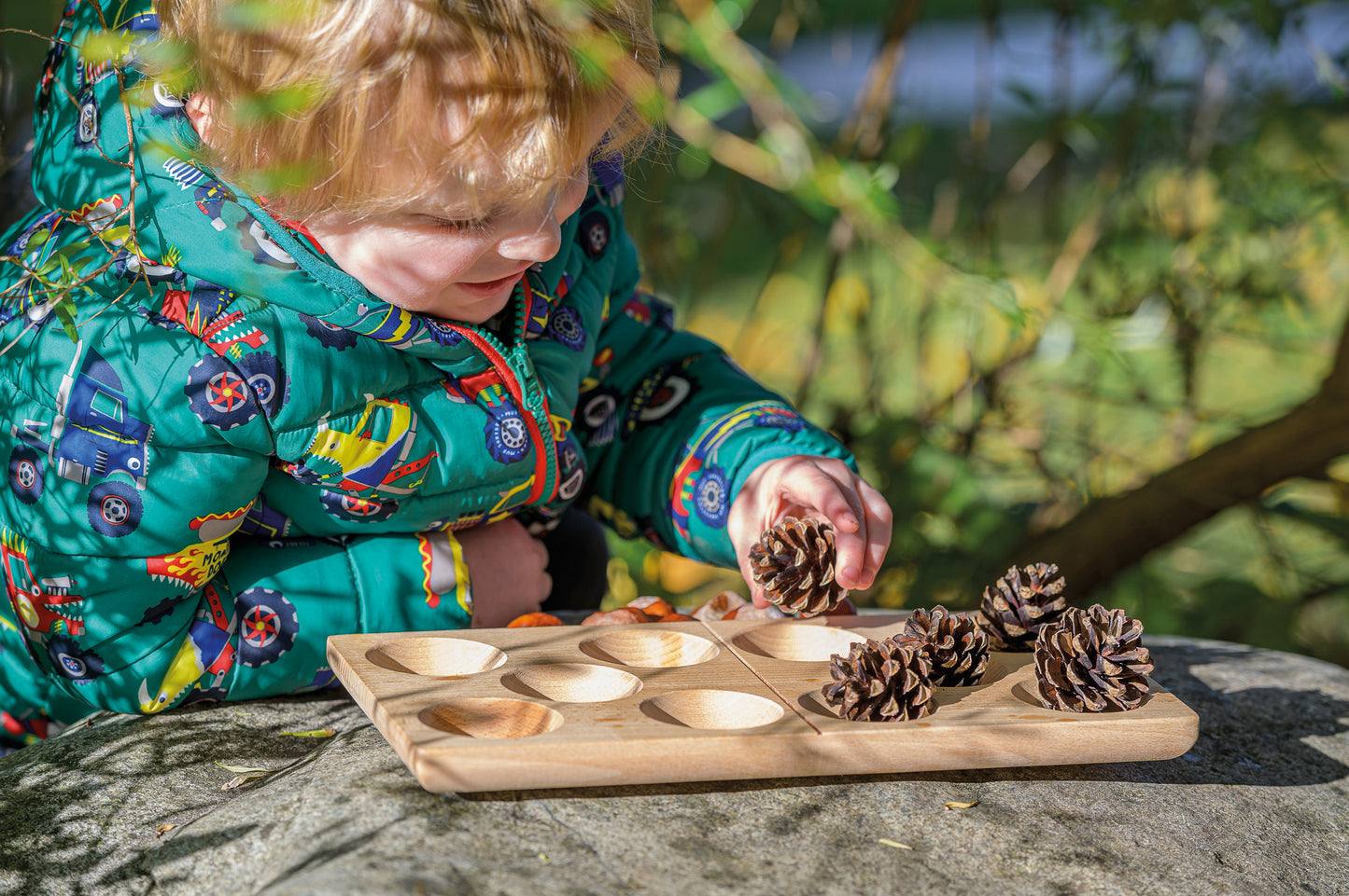 Domino 10-Frame Tray