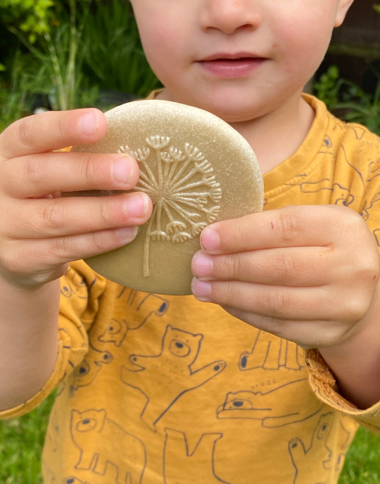 Let’s Investigate – Nature