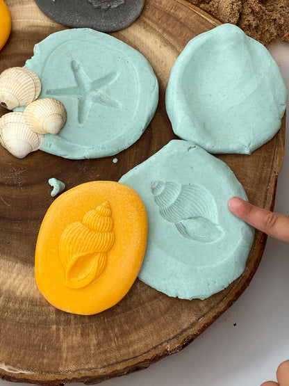 Let’s Investigate – Seashore