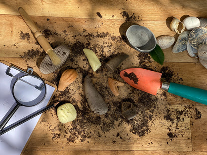 Let’s Investigate – Prehistoric Teeth