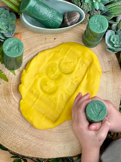 Exploring Dinosaurs Collection