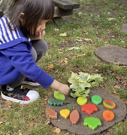 Sensory Play Stones – Leaves
