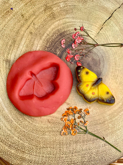 Butterflies – Sensory Play Stones