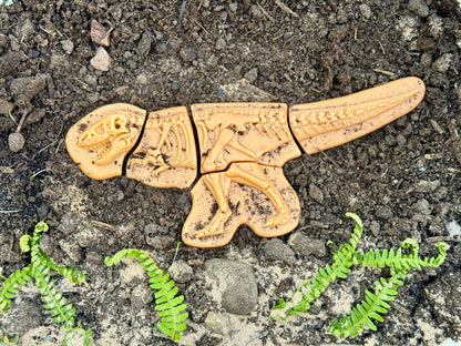 Dig and Discover – Ankylosaurus & Tyrannosaurus rex