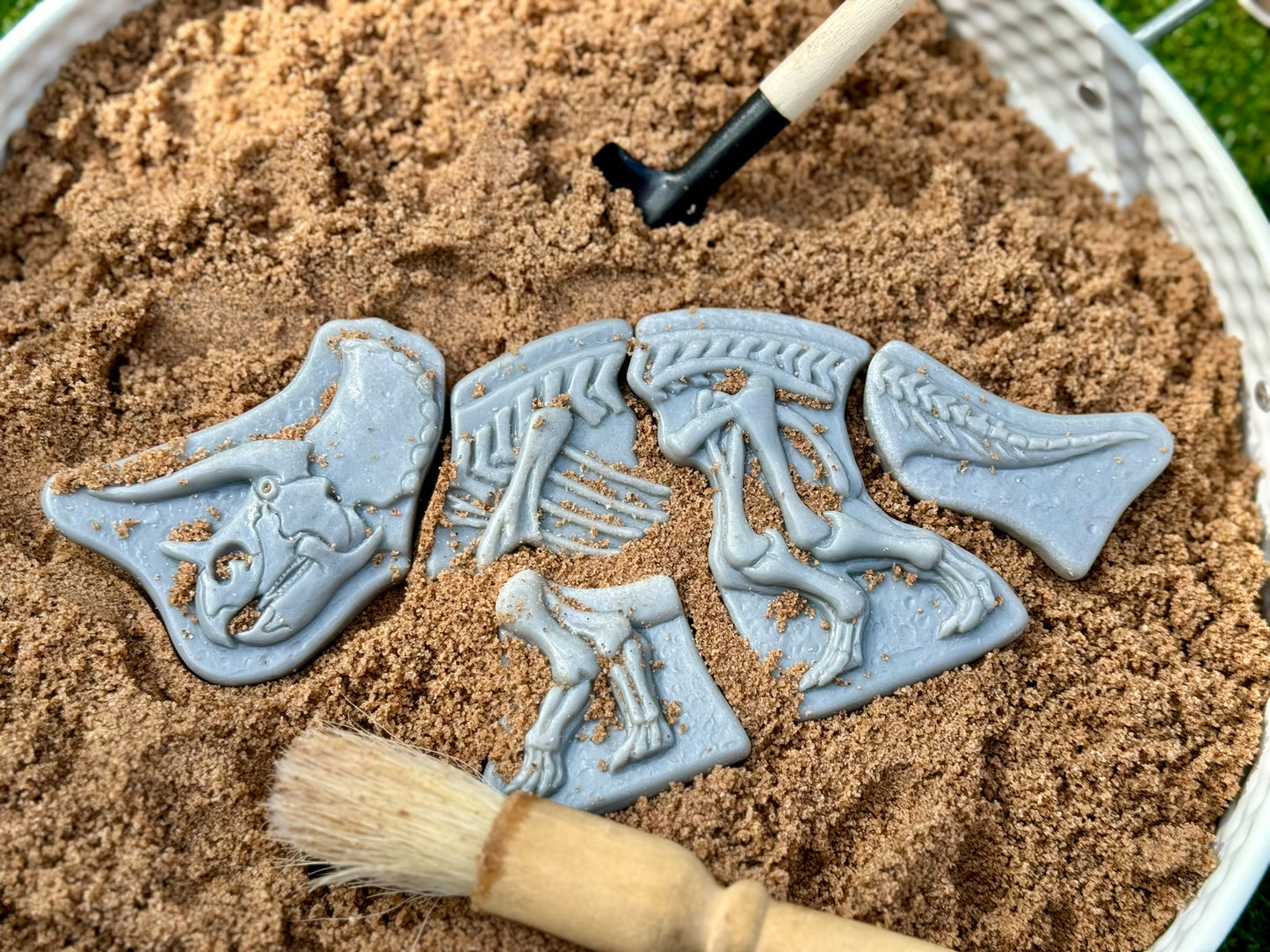 Dig and Discover – Triceratops & Spinosaurus