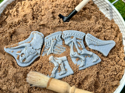 Dig and Discover – Triceratops & Spinosaurus