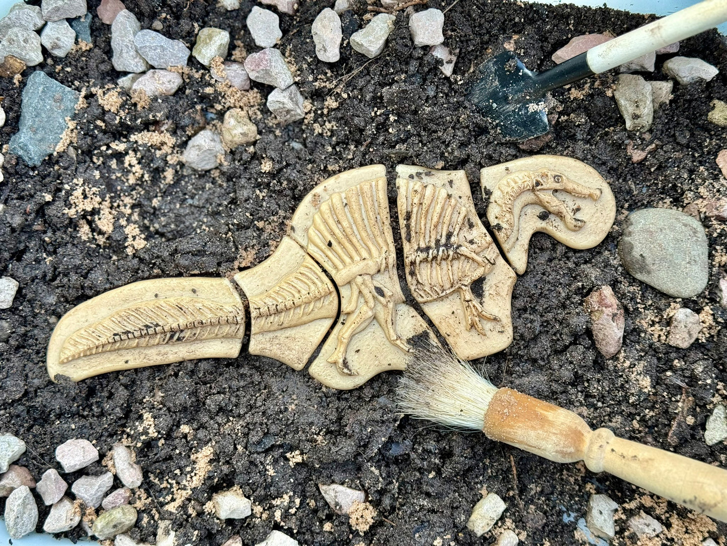 Dig and Discover – Triceratops & Spinosaurus