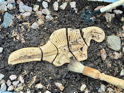 Dig and Discover – Triceratops & Spinosaurus