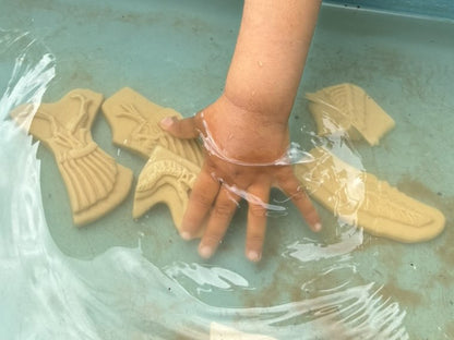 Dig and Discover – Triceratops & Spinosaurus