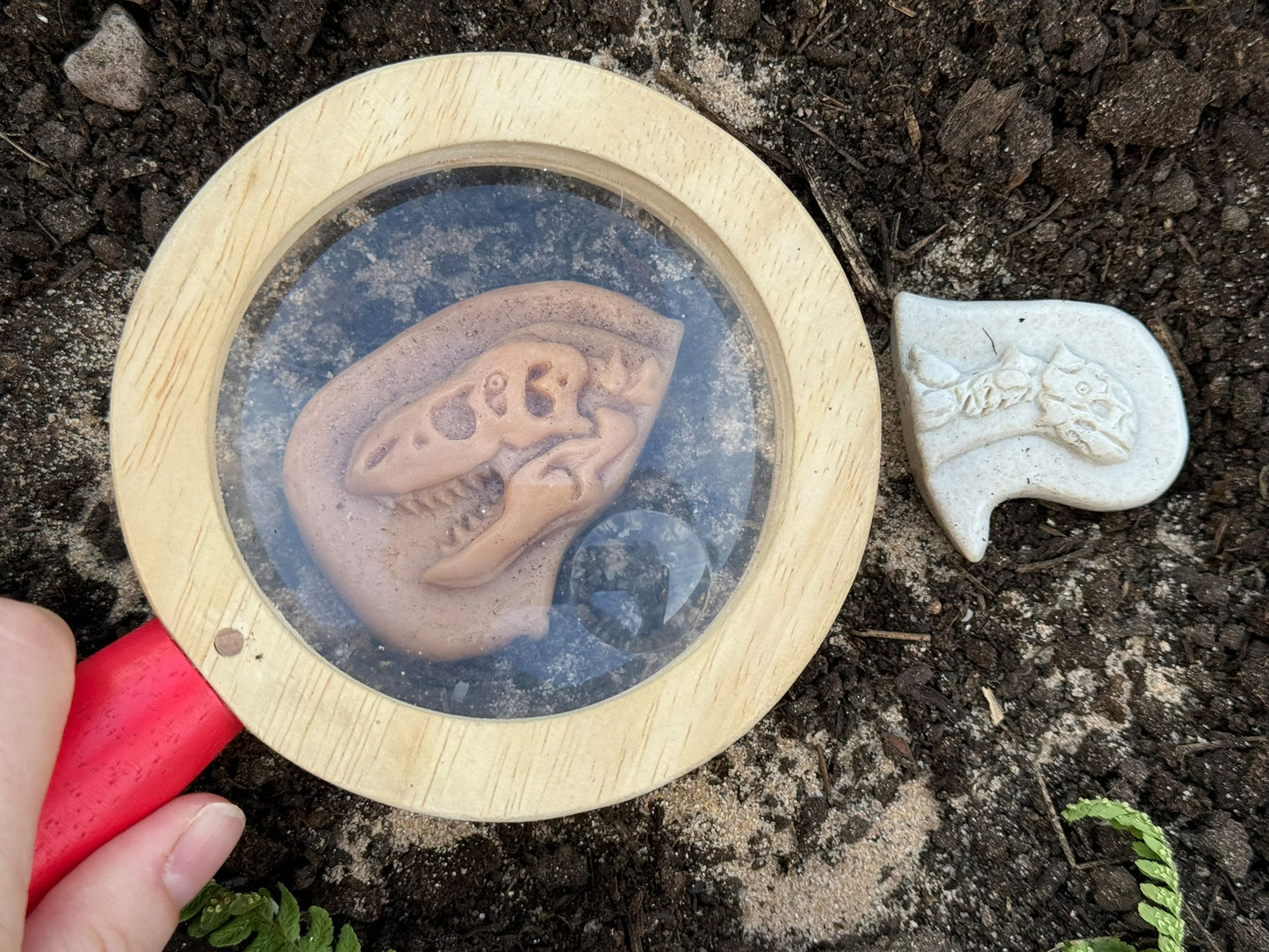 Dig and Discover – Dinosaur Pack