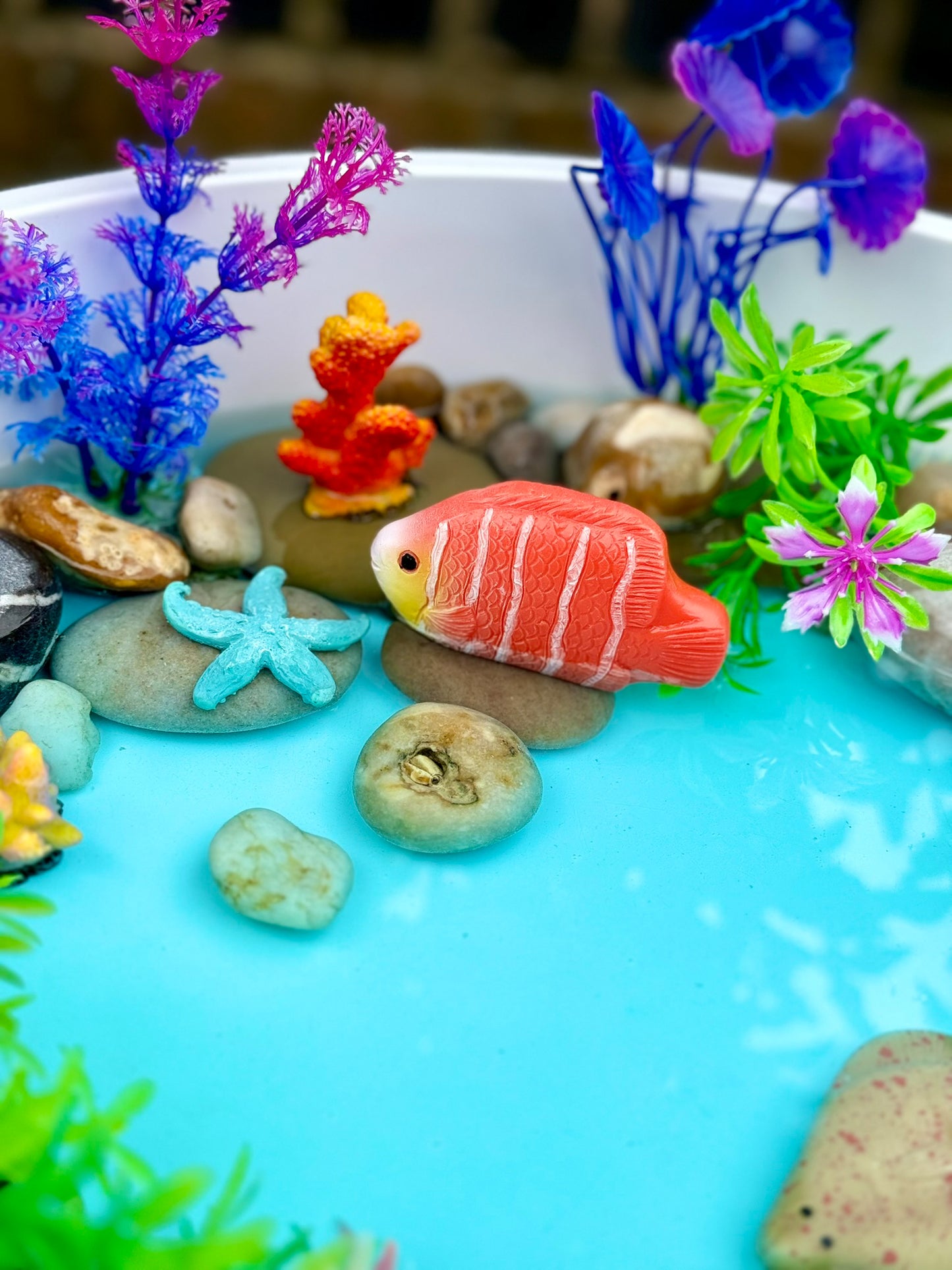 Fish – Sensory Play Stones