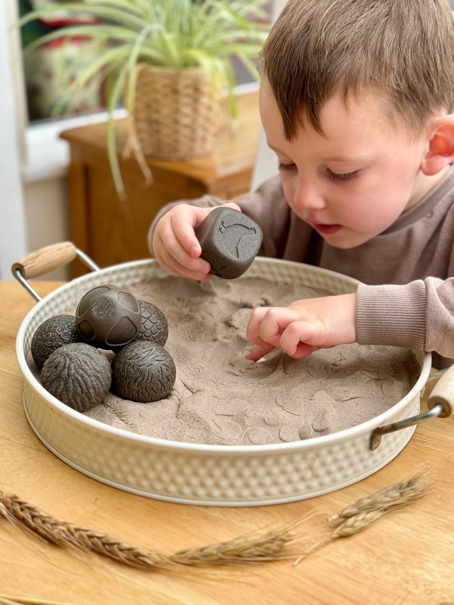 Roll Around – Farm Animals