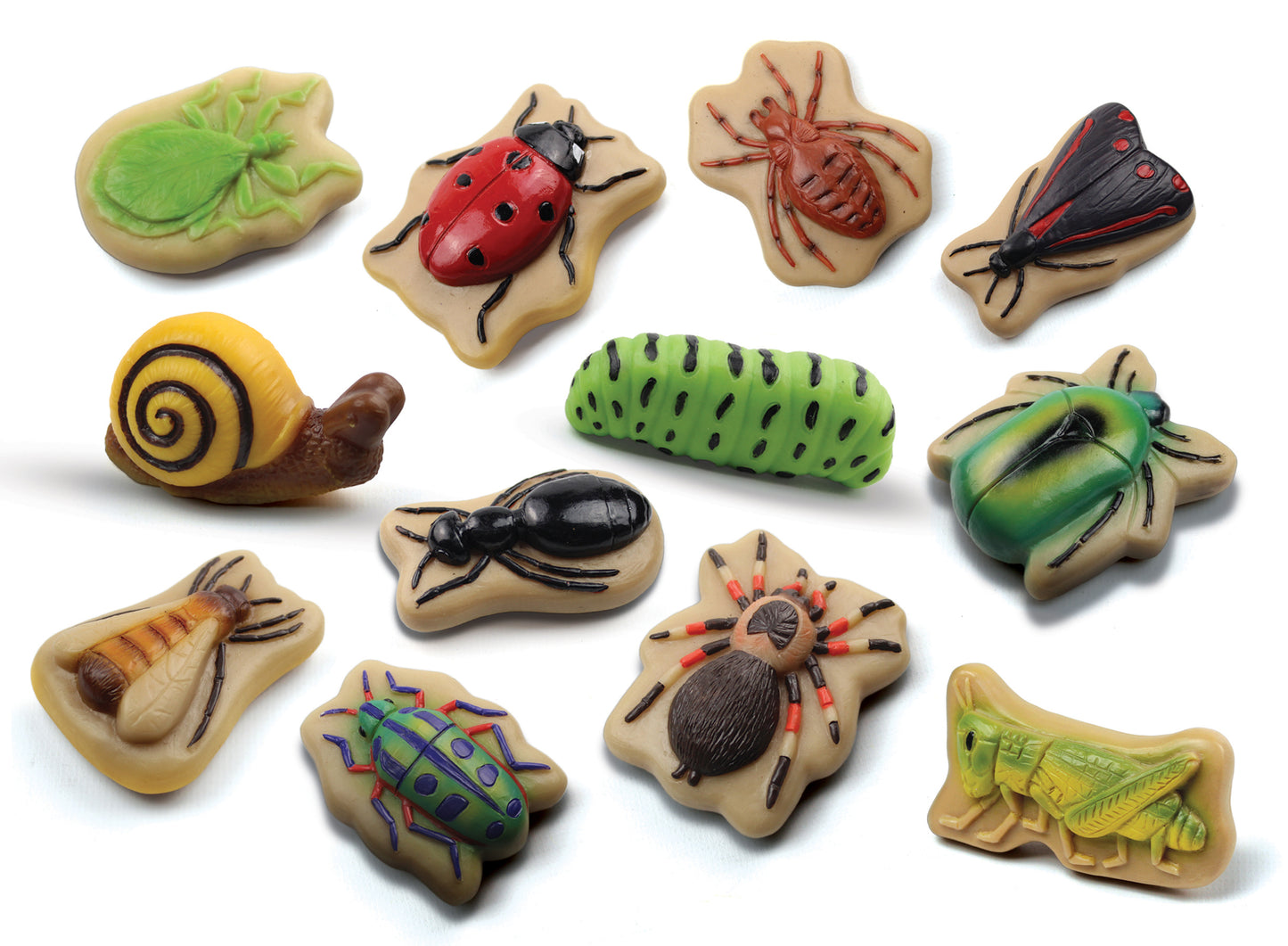 Bugs – Sensory Play Stones