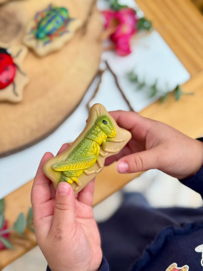 Bugs – Sensory Play Stones
