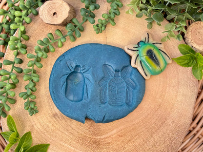 Bugs – Sensory Play Stones