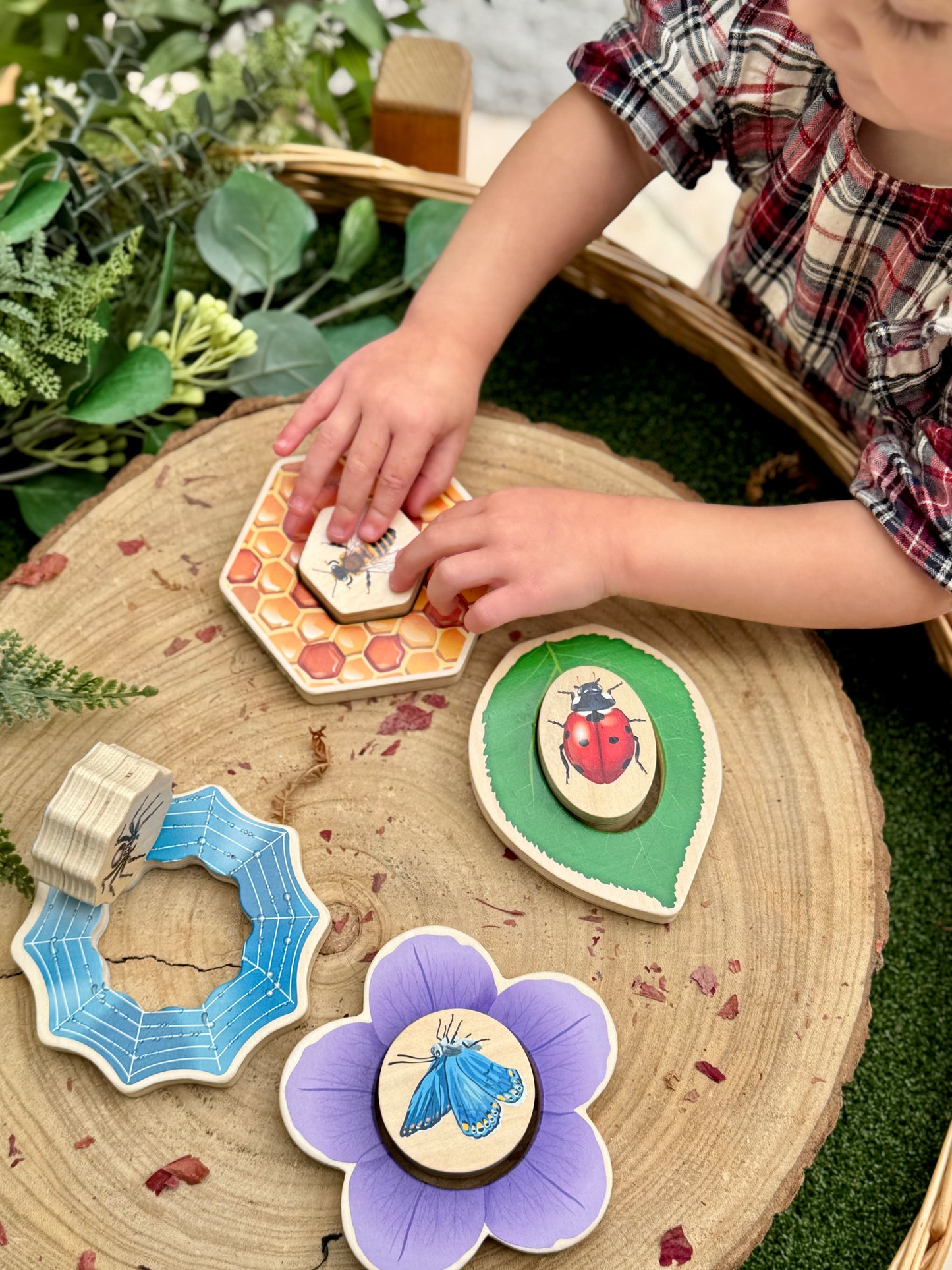 Who’s Hiding? Garden Bugs