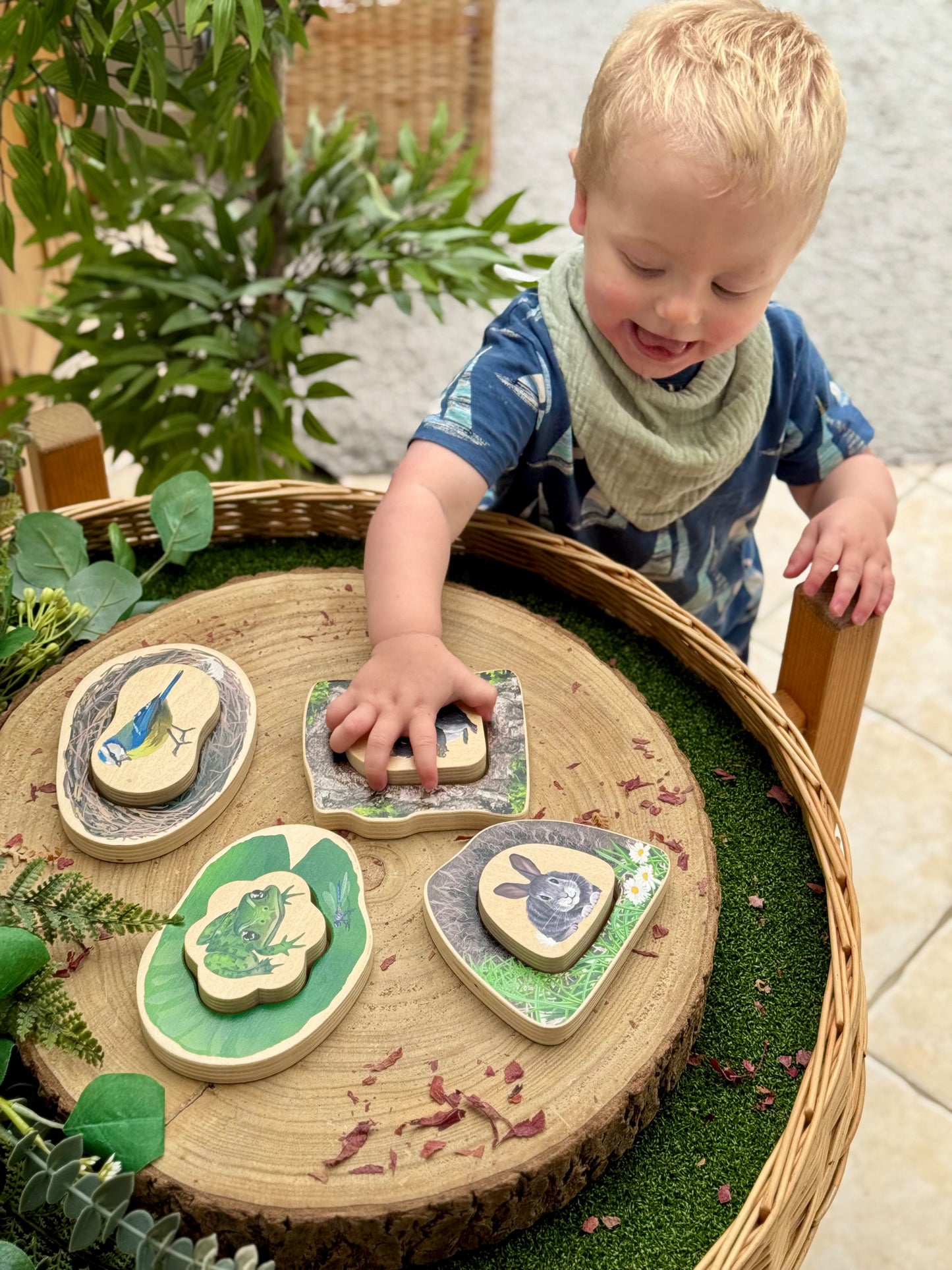 Who’s Hiding? Woodland Animals