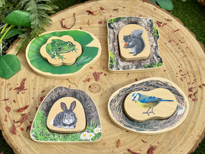 Who’s Hiding? Woodland Animals