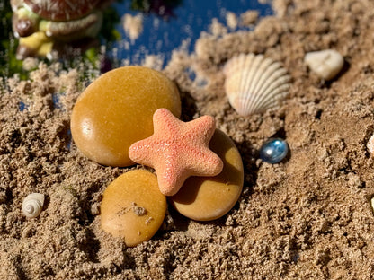 Ocean Life – Sensory Play Stones